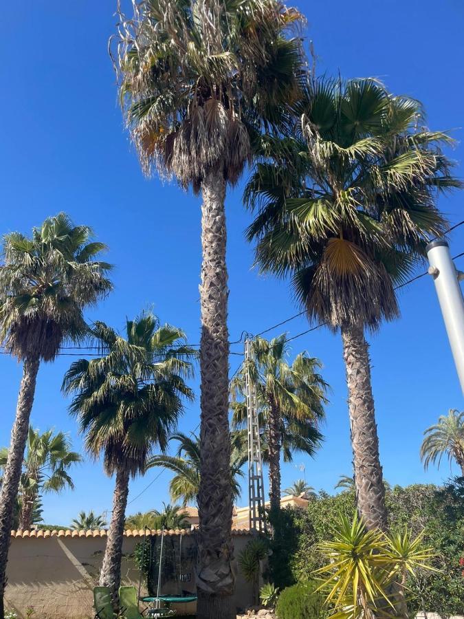 Palangre Beach Apartment Torrevieja Ngoại thất bức ảnh